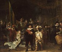 De bedreigde zwaan in de Nachtwacht