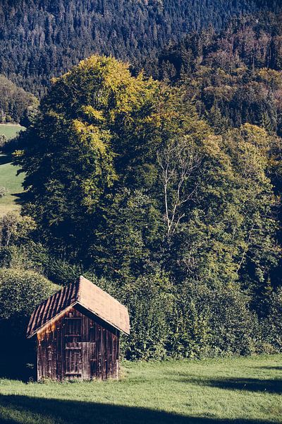 Wooden Cabin in the Black Forest by Patrycja Polechonska