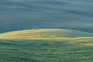 Sonnenaufgang bei Pienza, Val d'Orcia, Toskana von Walter G. Allgöwer