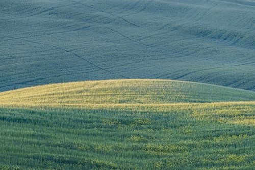 Zonsopgang bij Pienza, Val d'Orcia, Toscane