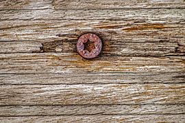 Weathered wood with screw by Frans Blok - photos, art and other wall decoration