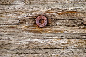 Weathered wood with screw by Frans Blok