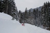 Pad door het woud in de sneeuw von Jeroen Meeuwsen Miniaturansicht