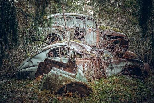 Roestige erfenissen in het bos - autokerkhof in Zweden