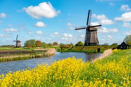 Molens in Noord Holland op een zonnige lentedag. van Ron van der Stappen