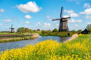 Molens in Noord Holland op een zonnige lentedag. van Ron van der Stappen