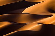 Light and Shadow, Mohammadreza Momeni by 1x thumbnail