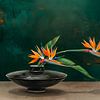 Exotisches Japandi-Stillleben: Paradiesvogelblumen auf Vase von Studio Pieternel