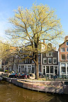 Pignons à clochettes dans le Jordaan. Amsterdam. sur Alie Ekkelenkamp