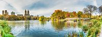 Central Park, New York - Panorama