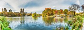 Central Park, New York - Panorama by Maarten Egas Reparaz