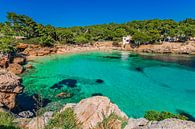 Idyllisch baaitje strand Cala Gat in Cala Ratjada, Mallorca, Spanje Balearen van Alex Winter thumbnail