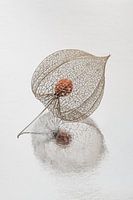 Rust en eenvoud in natuurlijke kleuren: Een lampionnetje