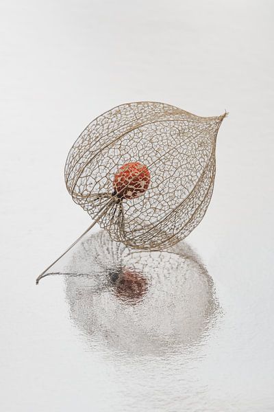 Rust en eenvoud in natuurlijke kleuren: Een lampionnetje van Marjolijn van den Berg