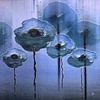 Eiszeit - Blauer Mohn von Christine Nöhmeier