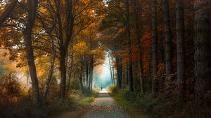 Autumn feelings von Klaas Fidom