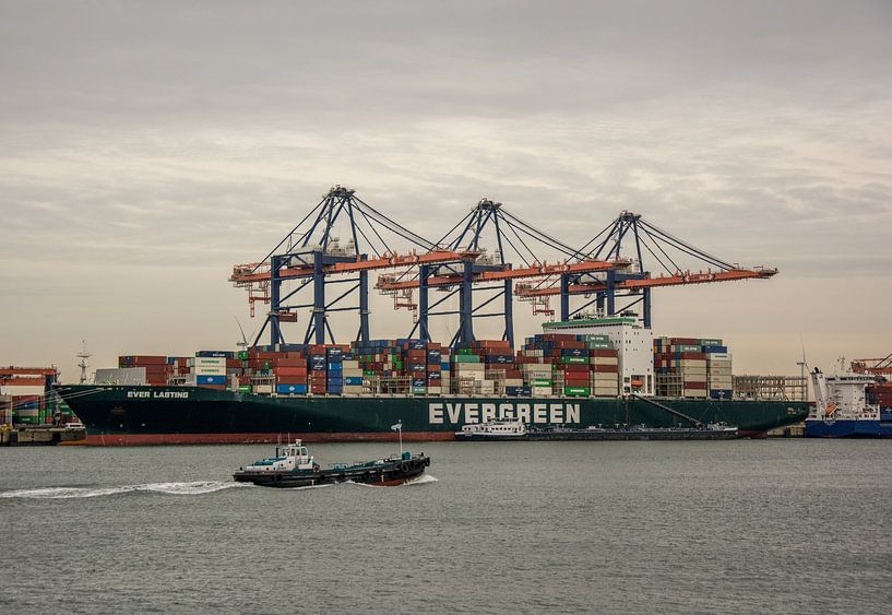 Containerschiff Ever Lasting auf der Maasvlakte. von scheepskijkerhavenfotografie