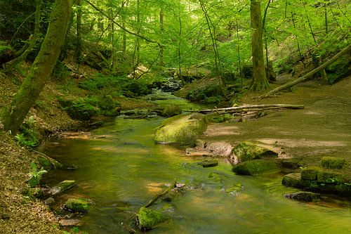 Karlstalschlucht bij Trippstadt in het Pfälzerwoud