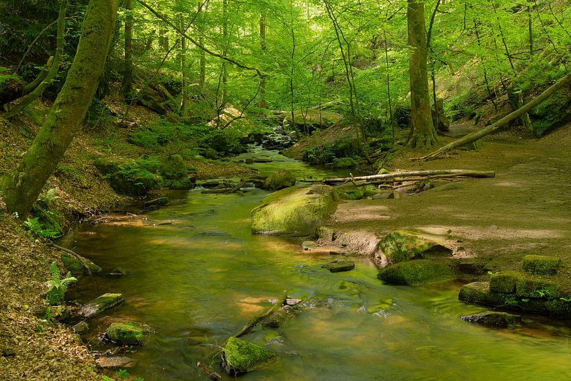 Karlstalschlucht bei Trippstadt im Pfälzerwald von André Post