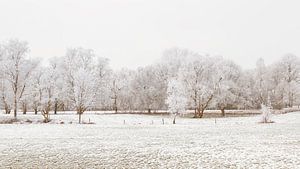 Sneeuw op de velden in Nederland van Truus Nijland