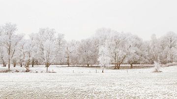 Sneeuw op de velden in Nederland van Truus Nijland
