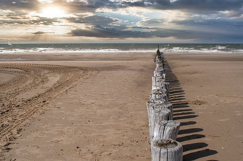 La plage, la mer et les poteaux en bois de Cadzand-bad