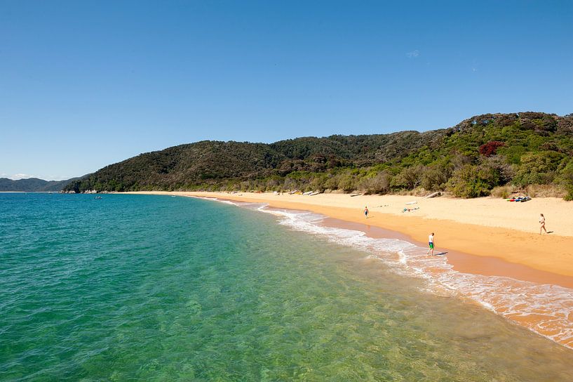 Awaroa-Bucht. von Richard Wareham