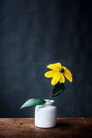 Fleur jaune dans un vase