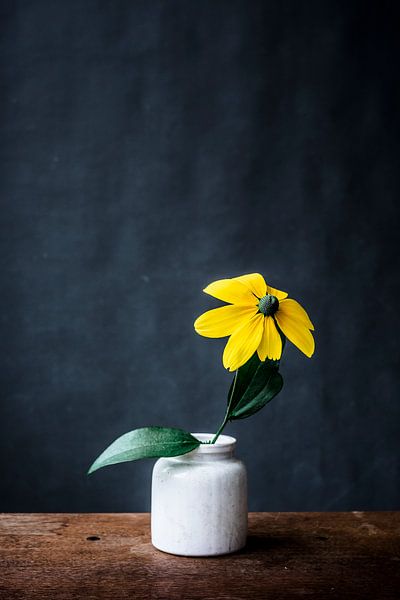 Foto print | gele bloem | modern | botanisch | bloemen | fotografie | lente van Jenneke Boeijink