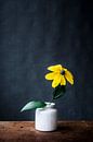 Foto print | gele bloem | modern | botanisch | bloemen | fotografie | lente van Jenneke Boeijink thumbnail