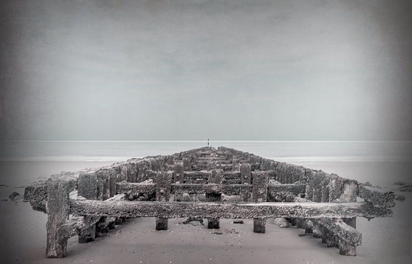 Beach with fog by natascha verbij
