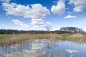 Niederländische Himmel