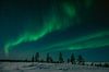 Nordlicht in Finnisch-Lappland || Polarkreis, Finnland von Suzanne Spijkers Miniaturansicht