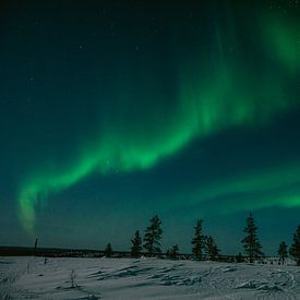 Northern lights in Finnish Lapland || Arctic Circle, Finland by Suzanne Spijkers