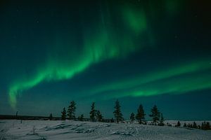 Nordlicht in Finnisch-Lappland || Polarkreis, Finnland