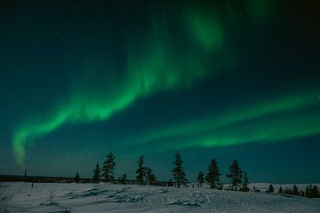 Northern lights in Finnish Lapland || Arctic Circle, Finland by Suzanne Spijkers