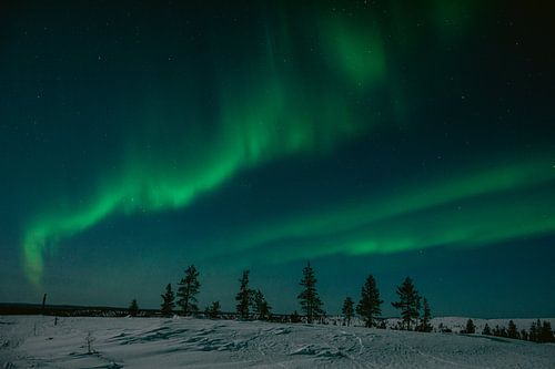 Noorderlicht in Fins Lapland || Poolcirkel, Finland