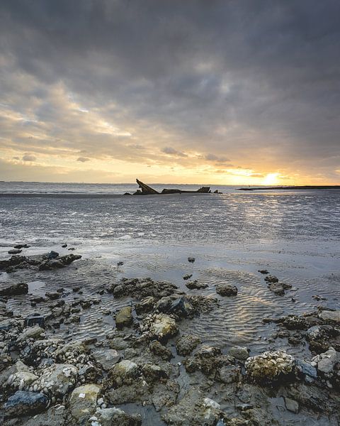 Sonnenuntergang Schiffswrack Zeeland von Sonny Vermeer