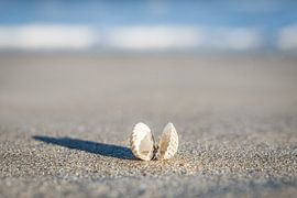 Ostsee Strand Insel Rügen von Mirko Boy