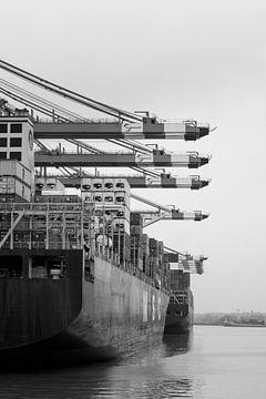 Containerschip Hamburg haven van Der HanseArt
