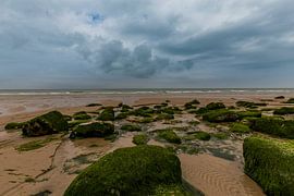 Rocks with moss ana de opal coast by Easycopters