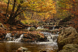 Une automne pleine de charme dans la vallée de la Hoëgne, à Jalhay – Décoration murale / Photo de paysage sur Glenn Vanderbeke