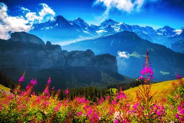 ALPES D'ÉTÉ sur Simon Schuhmacher