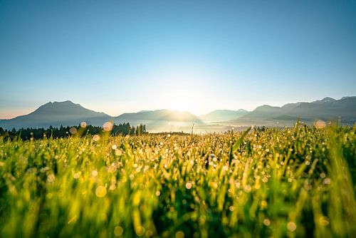 Zonsopgang met uitzicht op de Grünten