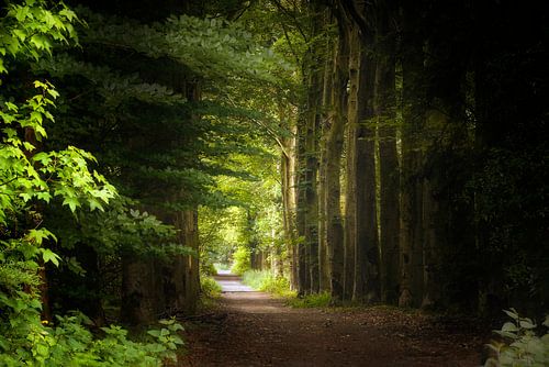 Do You Believe in Magic?