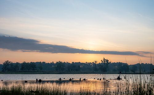 Hatertse en Overasseltse vennen part 2