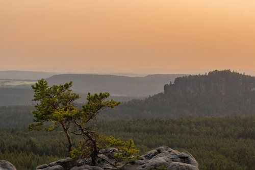 Op de Gohrisch in de avond Saksisch Zwitserland
