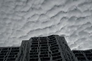 Calypso, Rotterdam