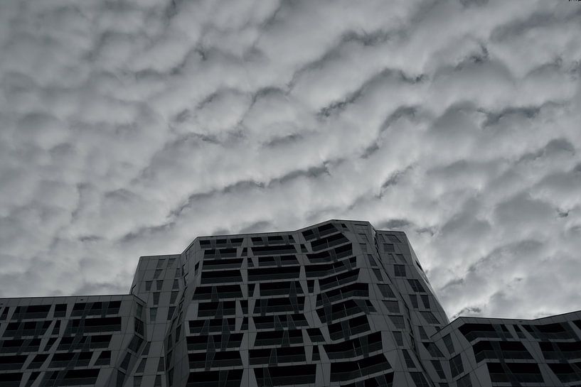 Calypso, Rotterdam by Michel van Kooten