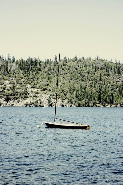 Boot auf Pinecrest von Gemma Bardot
